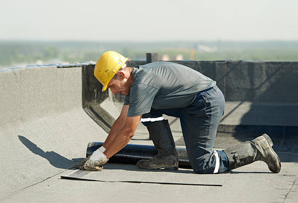 Types of Insulation We Offer in Everson, WA