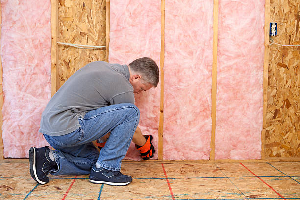 Professional Insulation Contractor in Everson, WA