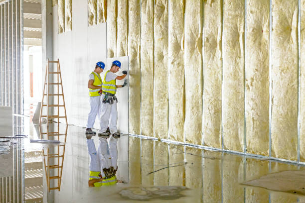 Best Residential Insulation in Everson, WA